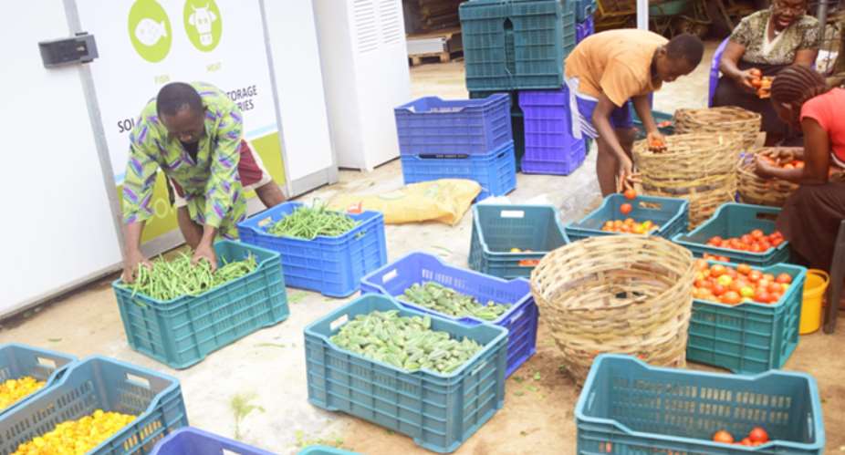 Empowering Communities: The Intersection Of Business Innovation And Poverty Alleviation