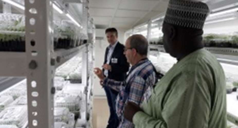 Dr Peter Kulakow, IITA Cassava Breeder Middle explaining the SAH technology in Ibadan on how thousands of cassava seedlings are propagated in record time