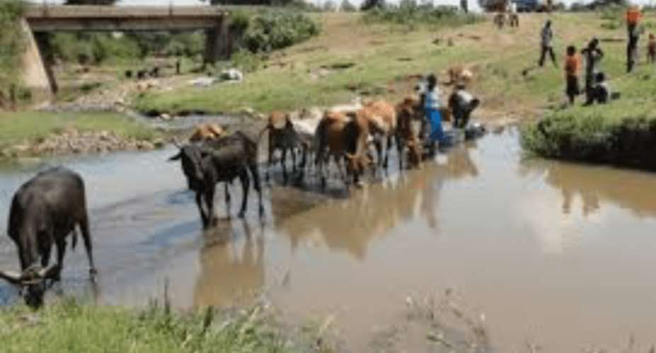 Yawmosi and Amanpensa residents compete with animals for drinking water