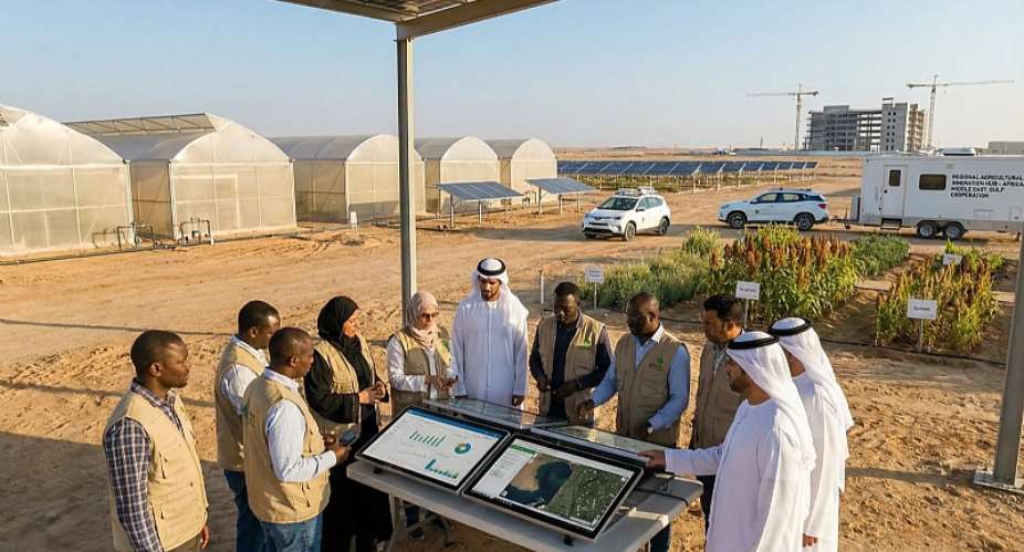 A Strategic Vision Shaped by Practice