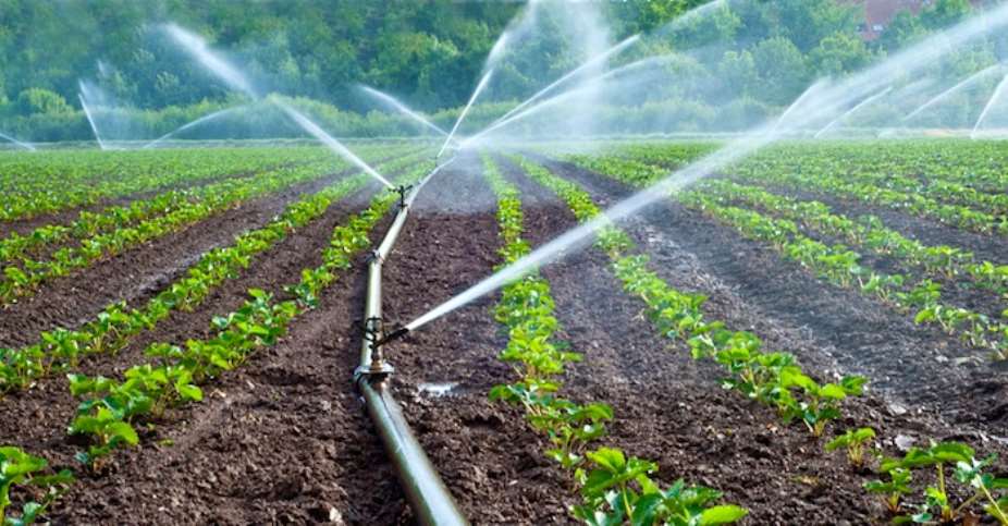 Rainfed Agriculture Versus Irrigation Farming
