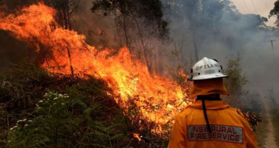 Rural Fire Service firefighter works to contain a bushfire that spread from the Gospers Mountain fire, in Colo Heights, New South Wales, Australia, November 16 2019. Photograph Jeremy PiperEPA