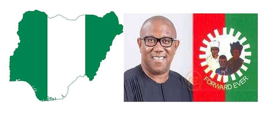 Because Of The Broken Electoral System in Nigeria, Why Not Install Peter Obi?