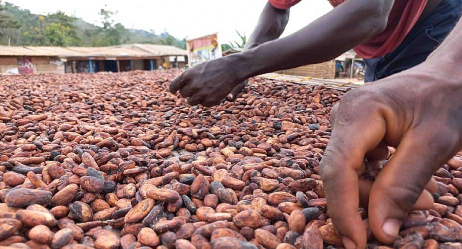 Ghana’s Agribusiness Revolution: Profitable Opportunities, Challenges, and the Future of Farming
