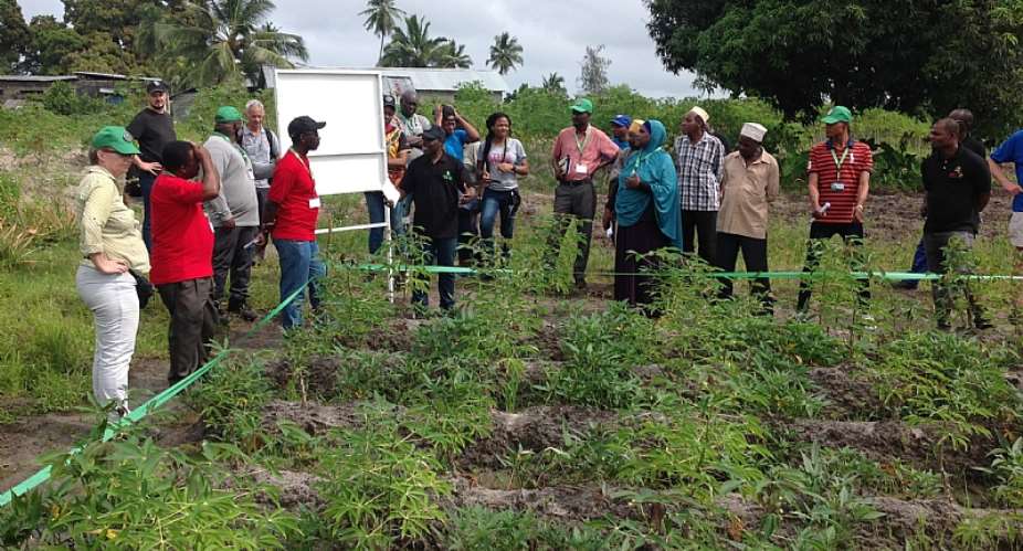 Field visit in Zanzibar provides insights to Akilimo's work on the field