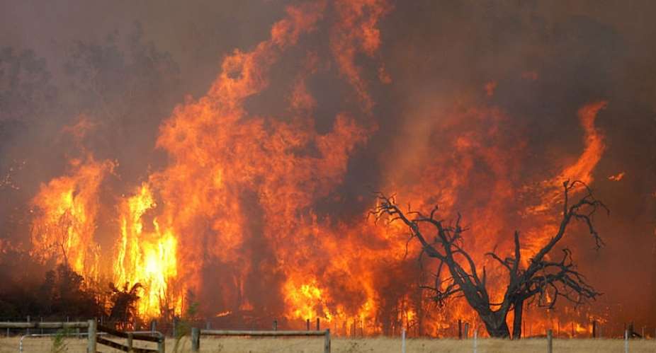 Bush Fire Destroys Rice Farms In Northern Regions