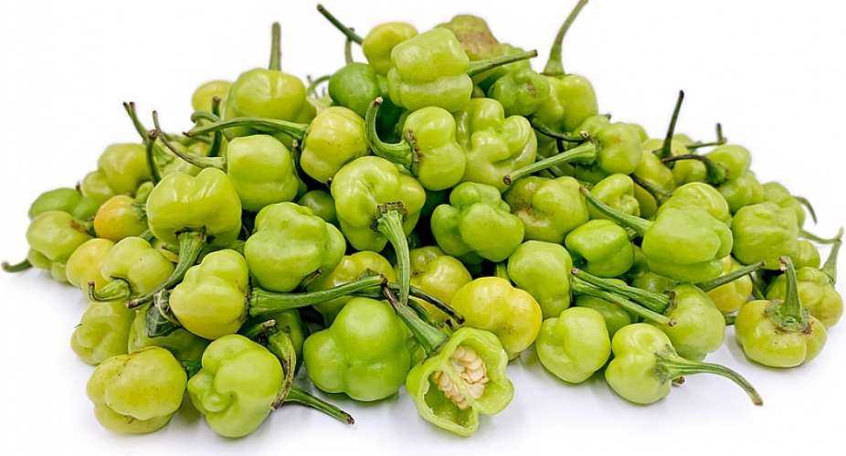 Kpakposhito improves life spans