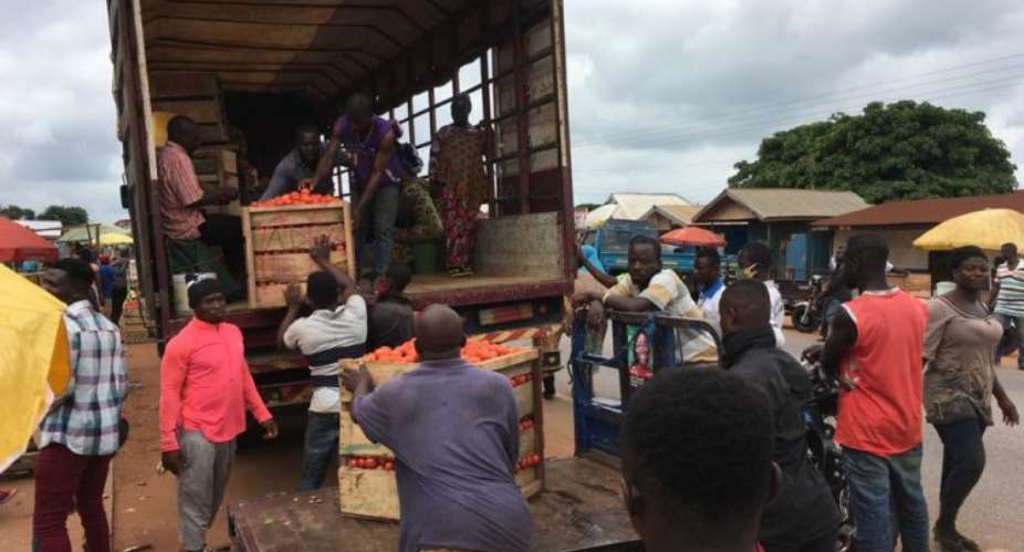 Imports fromBurkina Faso collapsing local tomato production – Growers