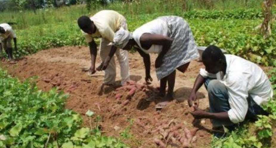Govt urged to invest in agric