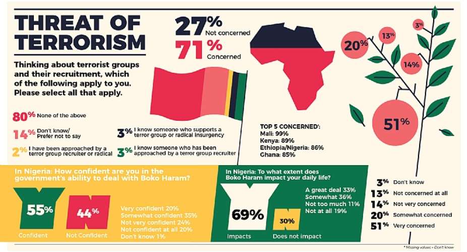 70 Of African Youth Are Concerned About Terrorism – African Youth Survey