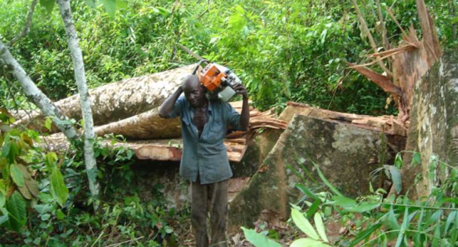 Forest enterprises urged to keep proper records