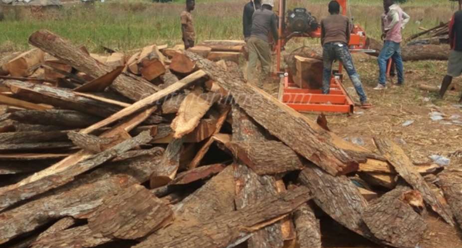 Forestry Commission intensify patrols in Rosewood harvesting areas