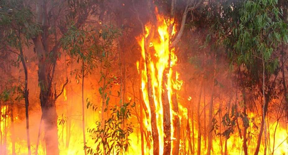 Ban on bush burning, hunting still in force — Fire Commander warn farmers, palm wine tappers and smokers