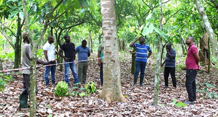 Restoring Ghana’s Forests and Livelihood