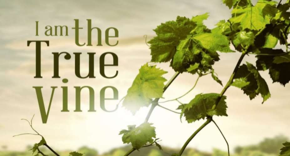 The Gardener, Vine And Branches 1 The True Vine