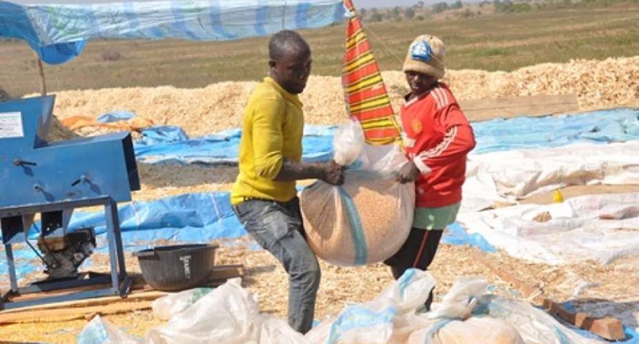 Farmers group builds school, employs 250 youths in Nasarawa community