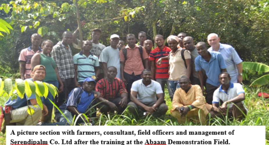 Sustainable Agriculture: Farmers Empowered By Serendipalm In Kwaebibirem