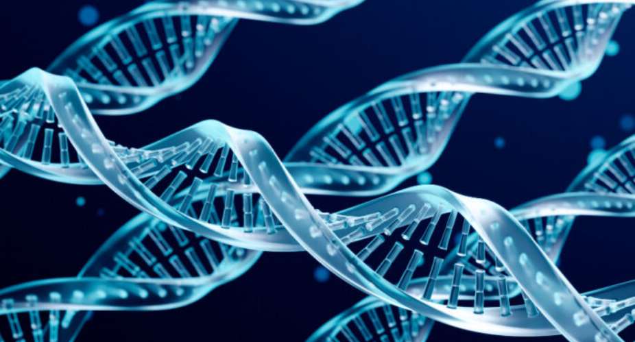 Rising DNA Tests in Ghana Expose Growing Concerns Over Misattributed Paternity