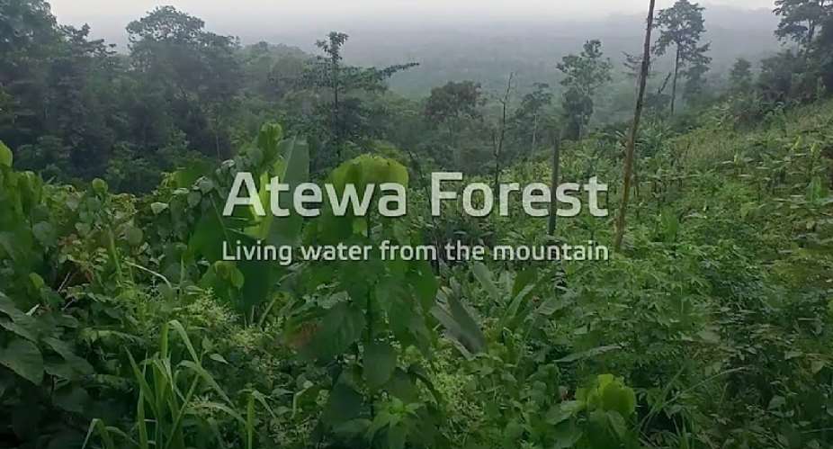 God Almighty: Please Let Akufo-Addo Ban All Mining In The Atewa Forest Reserve -  And Declare It A National Park. Now, Not Tomorrow!