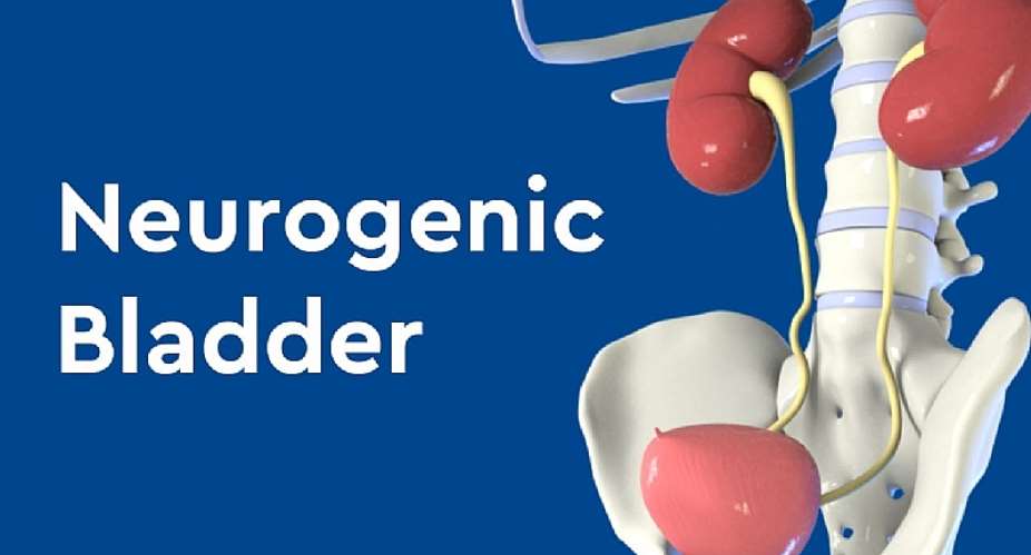 Understanding Neurogenic Bladder: Navigating Challenges and Seeking Solutions