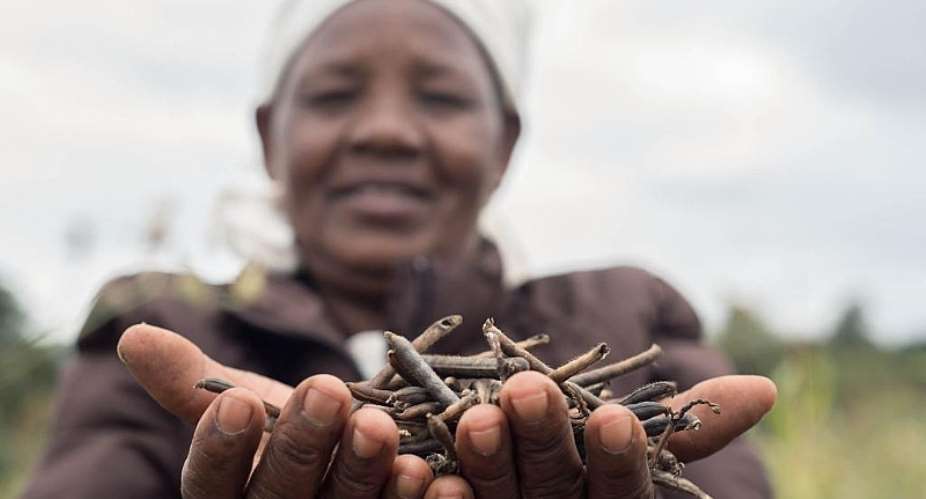 PULA raises 6m in Series A to help derisk Smallholder Farmers across Africa