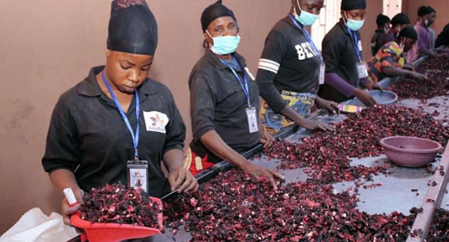 Sobolo can generate enough revenue for Ghana