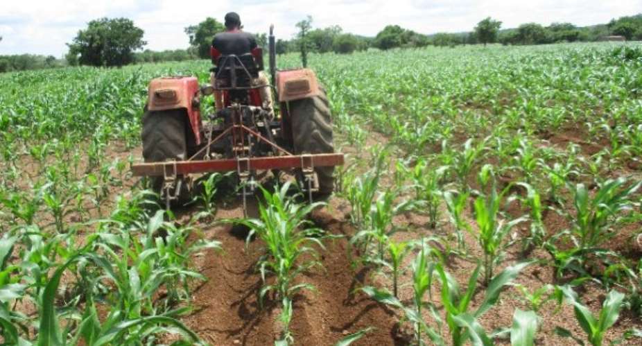 Raising Ghana's Land Productivity Will Boost Economy, Incomes - Report