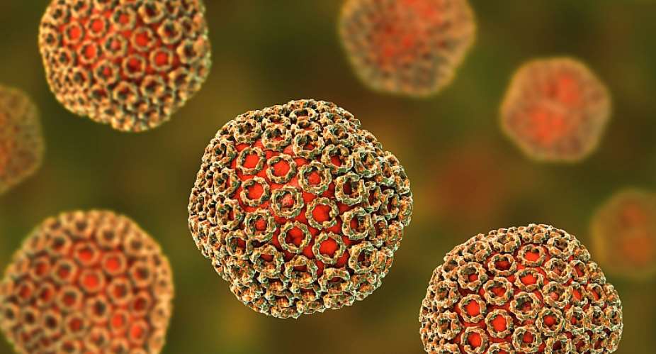 Rift Valley Fever virus, 3D illustration.  - Source: Kateryna Kon/Shutterstock