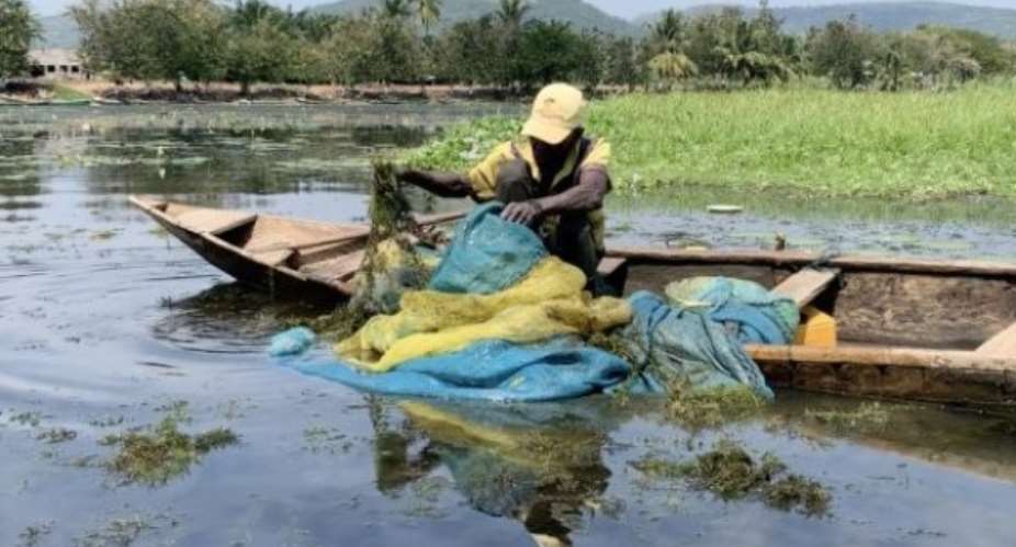 VRA loses 4.1 million to water hyacinth