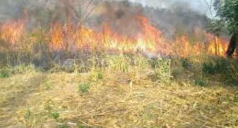Bushfire cases increase in Central Region