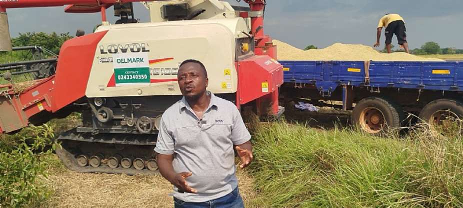 Akatsi South Rice Farmers Hit Hard by PostHarvest Losses as Market Failures Deepen Debt Crisis