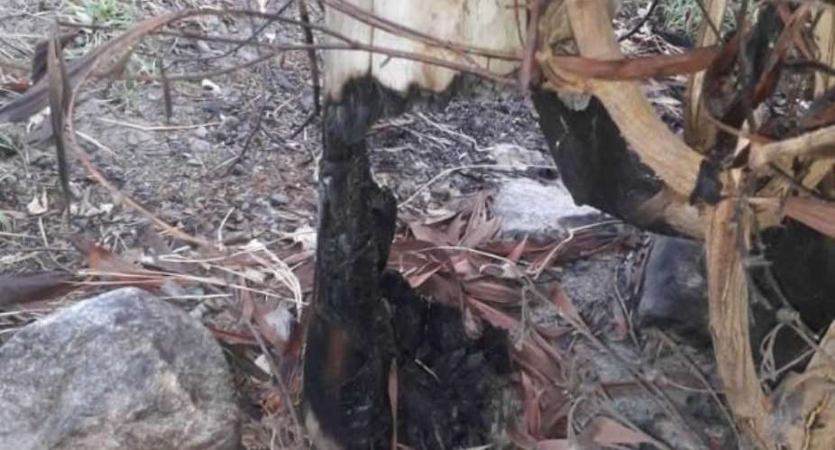 Bushfire Burns 29 ECG Poles At Sogakope