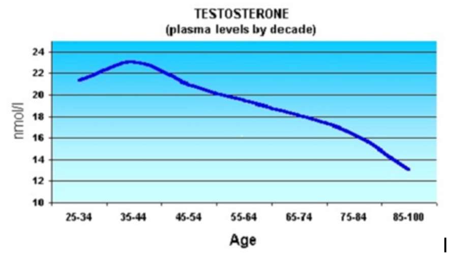 Testosterone Is Not Like Food For A Hungry Tumor, Testosterone Is Like Water For A Thirsty Tumor