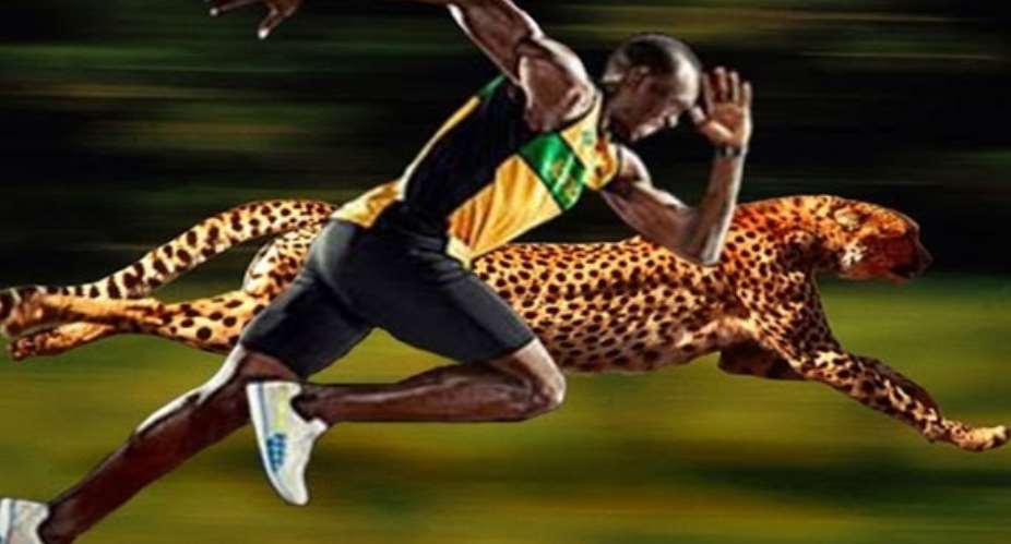 Getty Images  Fastest Ever Human – Usain Lightning Bolt