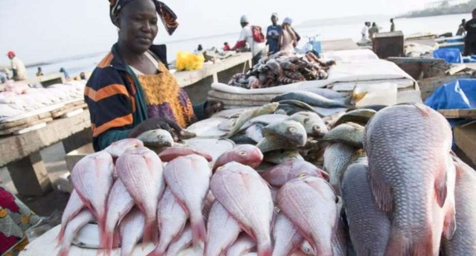 Fishermen Appeal To Gov't To End Illegal Fishing Practices Ahead Of Closed Season