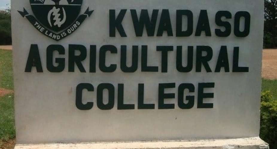 Reviving Nkrumahs Vision: Agricultural Colleges as Pillars of Food Security in Ghana