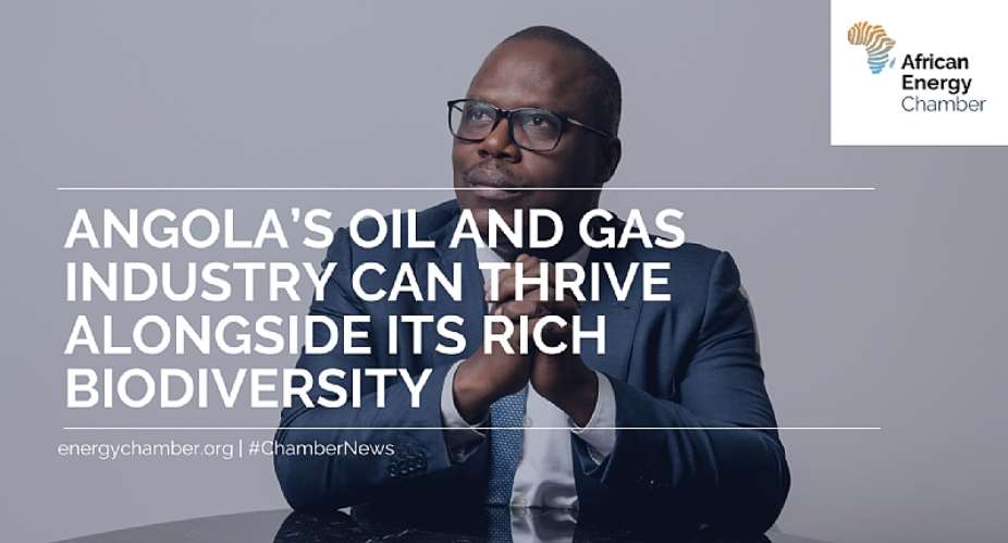 Angola's Oil And Gas Industry Can Thrive Alongside Its Rich Biodiversity