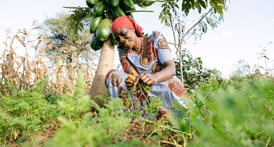 Initiative engaging farmers to transform land across Africa recognized as one of seven UN World Restoration  Flagships