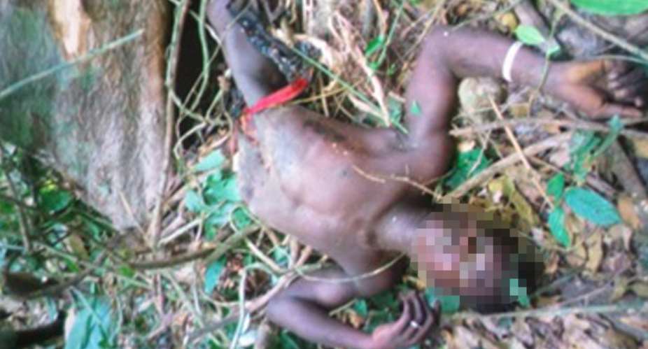 Kofi Antwi killed by a falling tree