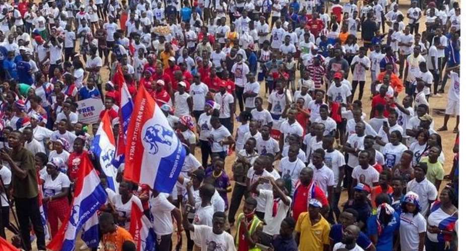 NPP’s support base declines from 35% in November 2024 to 21% in February 2025 — Global InfoAnalytics