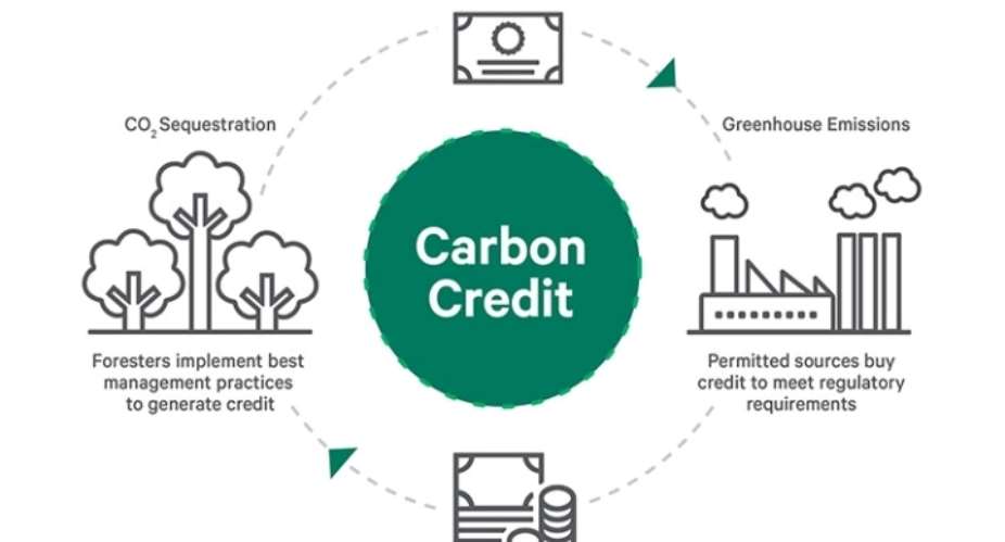 Understanding Carbon Credits and Their Relation to Climate Change