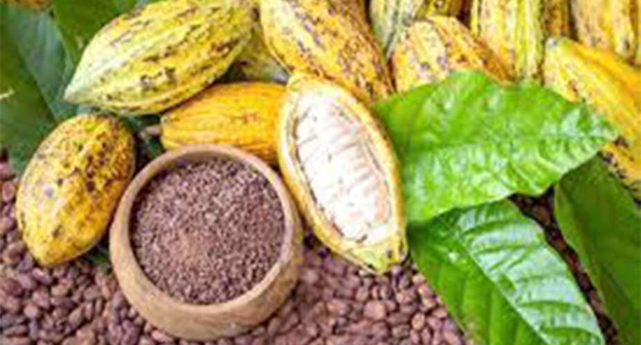Cocoa Sector Exposes Them