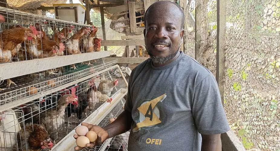 My passion for poultry farming led me to develop my own incubator to breed fowls - Seth Akoto Ofei