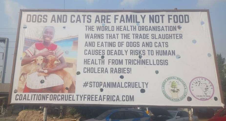 Animal rights group launches global campaign to ban dog and cat meat trade and consumption