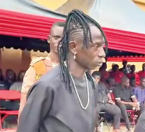 Patapaa