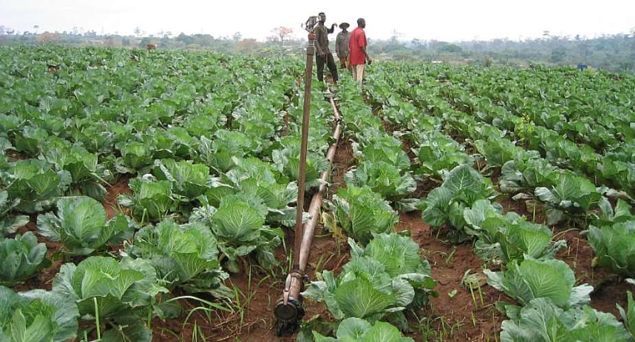 Legon Lecturer Says One village, One Dam Will Boost Agric Sector