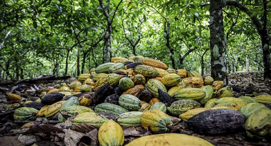 Where Is Price In The Joint Framework Of Action To End Deforestation In Cocoa?