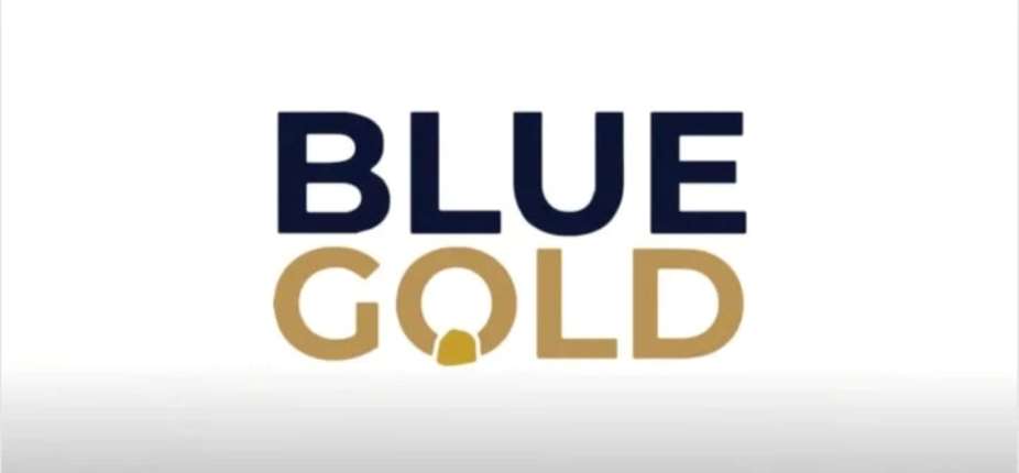 Cayman Court halts Blue Gold EGM over alleged shareholder rights breach