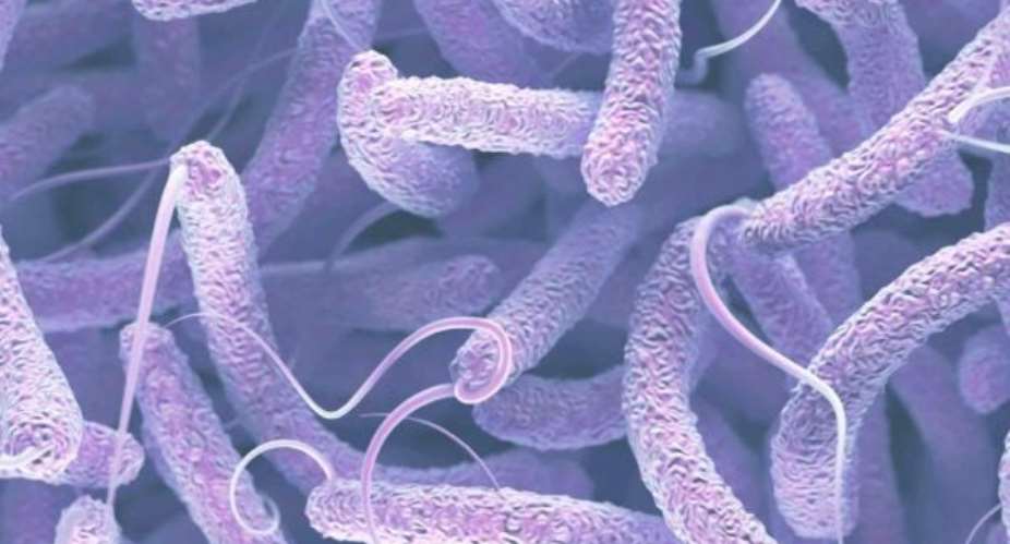 Cholera and Meningitis Outbreaks in Ghana: A Call for Groundbreaking Vaccine Research