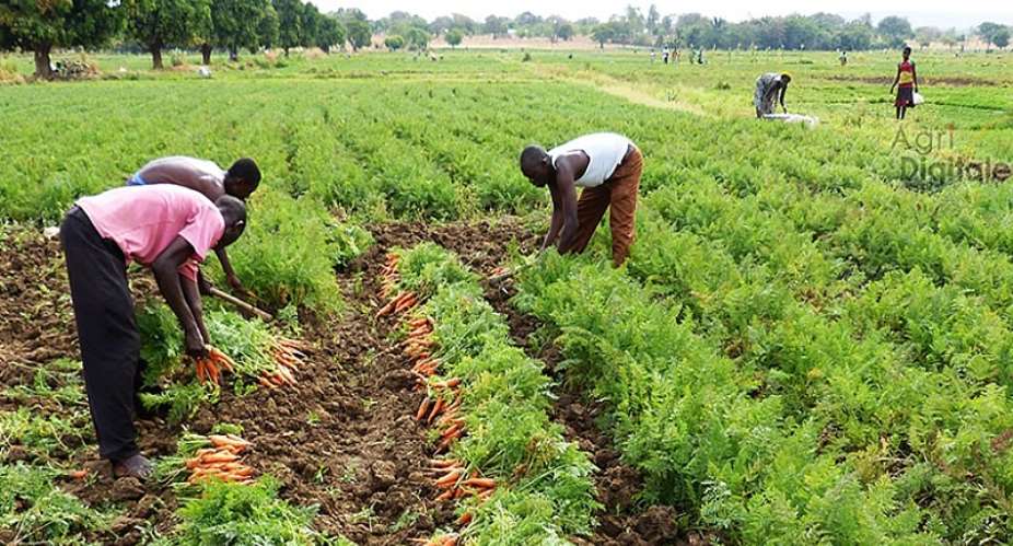 Why banks won’t lend to farmers — And how to fix it in the new age